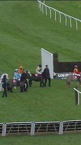 240K views · 2.9K reactions | Cracking finish to this Shetland Pony race | Racing TV | Facebook