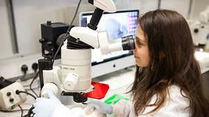 Regenerative Dentistry | King's College London