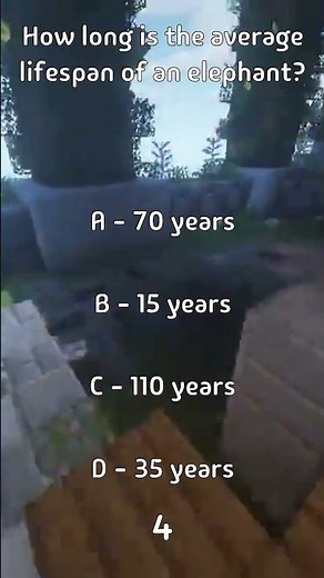 How long is the average lifespan of an elephant?