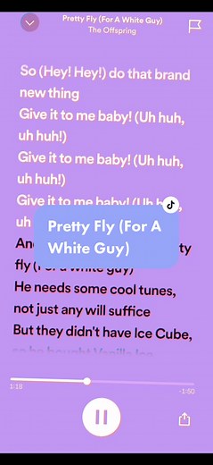 Pretty Fly (For A White Guy) - The Offspring Music Video