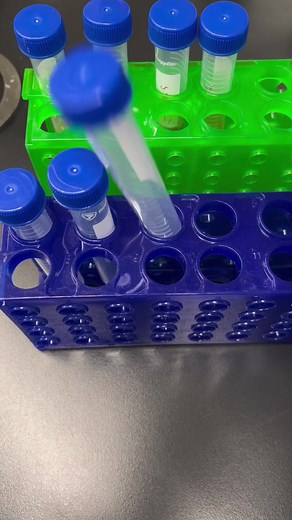 Some of what I actually do in the lab!#fyp #lab #science #stem