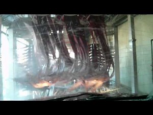 Tunnel Car Wash Video