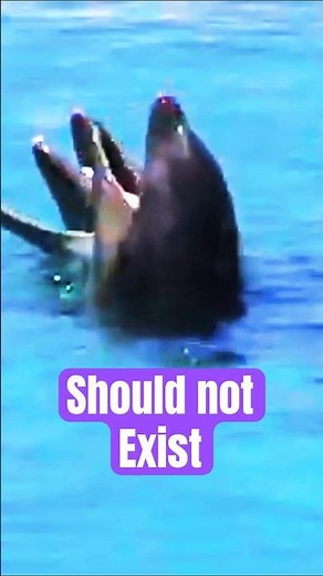 Scientists Thought This Animal Was Fake