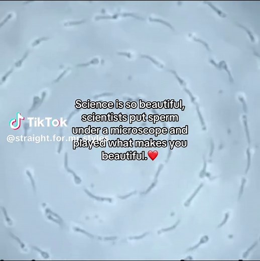 Exploring Science: Sperm Under the Microscope