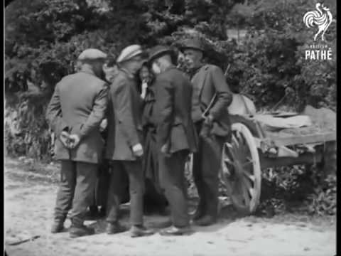 Michael Collins Tribute - The Wolfe Tones Song