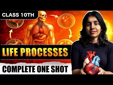 Life Processes Class 10 Biology | Complete One Shot | Board Exam 2026