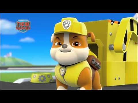 Paw Patrol - Rubble