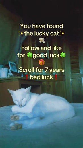 Congratulations don’t risk it❗️🎎