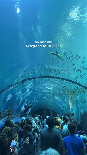 Visit the Georgia Aquarium in 2026: An Epic Adventure