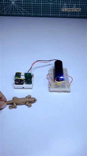 ESP32 Smart Insect Trap ⚡ Motion Activated High Voltage System #bug #bugkiller #mousetrap #rattrap