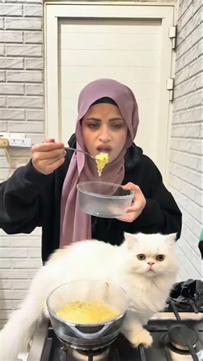 #اكسبلور بينو وسايلو يأكلان تشومين حار 😋🔥#comedy