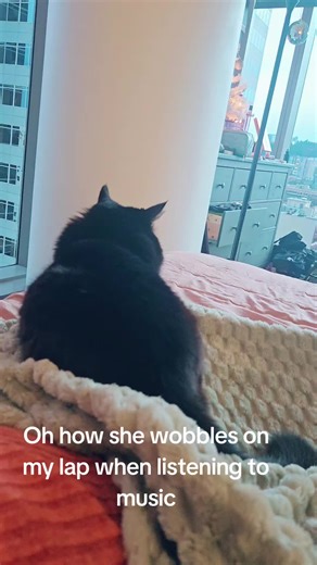 Cute Cat Wobbling on Lap While Listening to Music