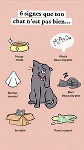Ton chat ne peut pas parler… mais son comportement, oui. 😿 Voici quelques signes qu’il ne va pas bien : 🐾 Il mange moins 🐾 Il miaule beaucoup plus que d’habitude 🐾 Il éternue souvent 🐾 Il dort beaucoup plus 🐾 Il se cache ou s’isole 🐾 Il vomit souvent (plus d’une fois par semaine) Si tu observes l’un de ces signaux, surtout s’ils durent, n’attends pas : une petite consultation peut vraiment éviter que ça s’aggrave. 💕🐱 #santechat #chat #catlovers #chat #caats | Caats