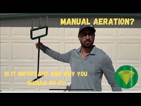 How to manually aerate your compacted lawn!