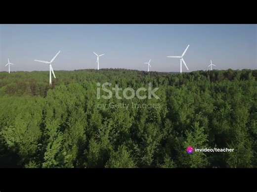 Protecting Our Planet: The Role of Environmentally Friendly Practices