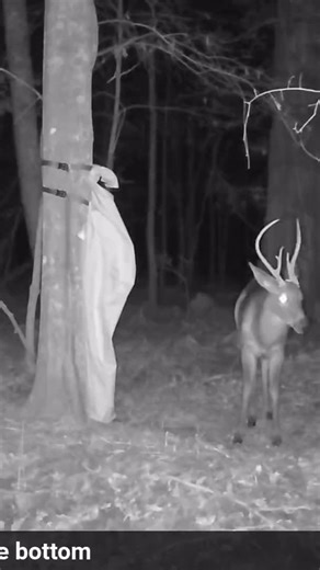 Randy Cook on Instagram