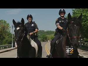 After 15-Year Hiatus, Pittsburgh Police’s Mounted Patrol Is Back