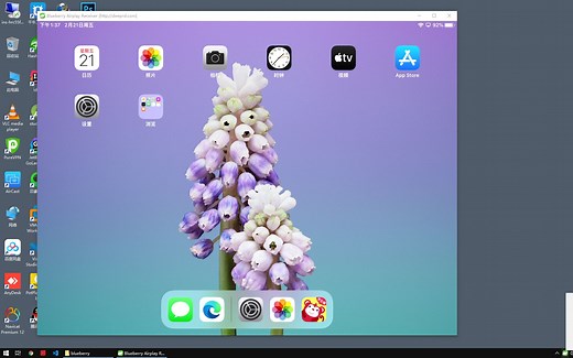 iPad/iPhone/Mac 使用airplay 镜像到windows电脑 , 2k, 4k显示 [免费试用]