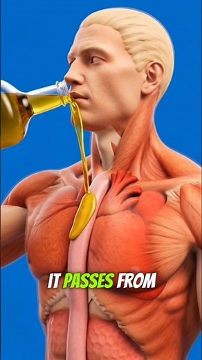 What Happens When You Drink Olive Oil Daily? 🫒✨