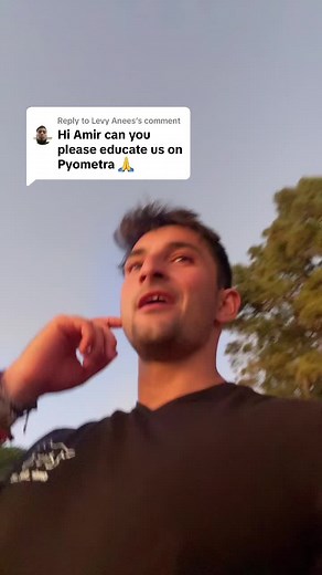 Understanding Pyometra in Dogs: A Vet's Insight