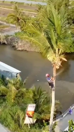 694K views · 1.3K reactions | The best skill | Making Video | Facebook