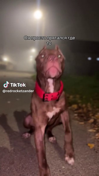 И такое бывает #рекомендации