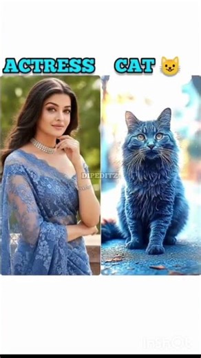 heroine vs cat #heroine #actress #cat #shorts