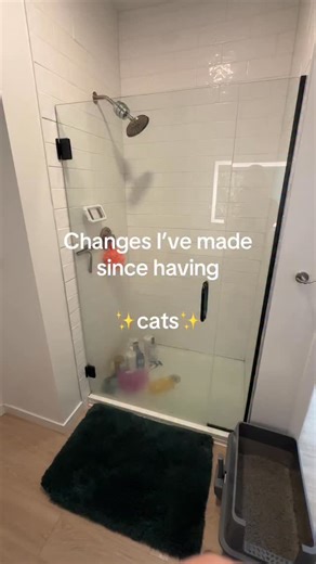 StrawberryandBean on Instagram: "#cats #fyp"