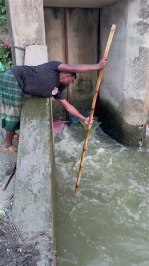 Amazing fish catching #shorts