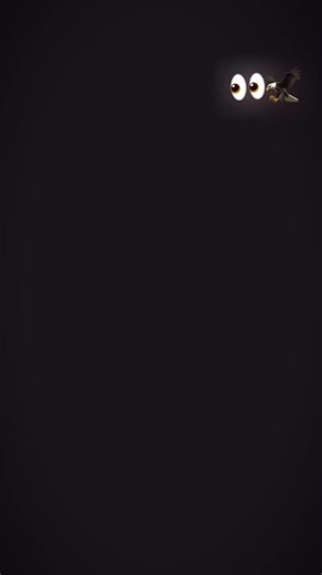 ꧁ঔৣ☠︎V҉A҉R҉U҉N҉❦☠︎ঔৣ꧂ | @_mr__loli__001 ⛓️ | Instagram