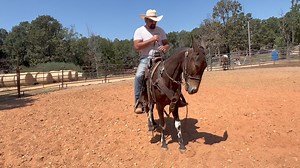USING SMOKEY TO SHOW TIPS ON HOW TO IMPROVE NECK REIN, maintain neck rein , get a more responsive mule or horse by more consistent cues | Max Bishop