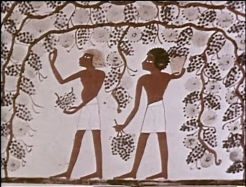 A Culinary Journey Through Time: From Stone Age Fire to Modern Food Preparation