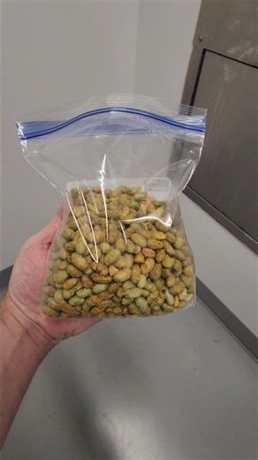 Edamame Beans - October 14, 2025 - Down The Garbage Chute #189