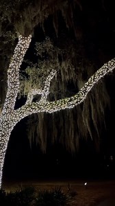 Holiday magic is in the air here in Bluffton! 🎄 From twinkling lights to festive cheer, there’s no better place to celebrate the season. ✨ | Explore Bluffton