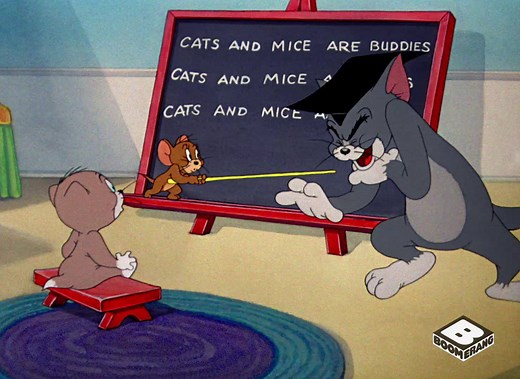 40K views · 1.8K reactions | Learn something new every day: cats and mice can be buddies. | Boomerang | Facebook