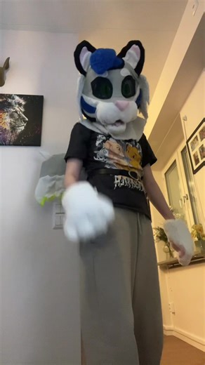 I’m Not a Cat, I’m a Winged Tiger 🐅🪽 #furry #fursuit #tigerfursuit #tigerfursona #tiger