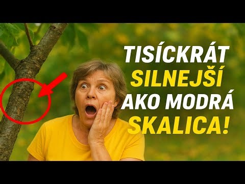 Tisíckrát silnejší ako modrá skalica! Jesenné ošetrenie, po ktorom bude Bordóska zmes už len obyčaj