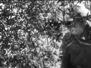 26 November 1968 – While returning to... - Jernigan Landing