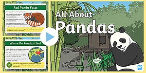 KS1 Pandas PowerPoint