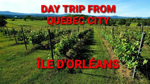 Discovering Île d'Orléans: Epic food & wine tour from Quebec City!🇨🇦