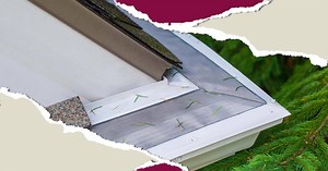 104K views · 192 reactions | Hurry! Protect your gutters before the cold weather hits. This offer won't last long. | LeafFilter Gutter Protection | Facebook