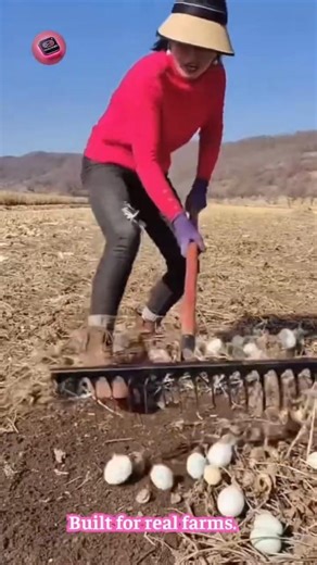 One Iron Tool Handles Straw Raking and Soil Digging with Ease 🌾 #HandyDelights