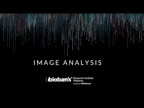 Image Analysis on the UK Biobank Research Analysis Platform