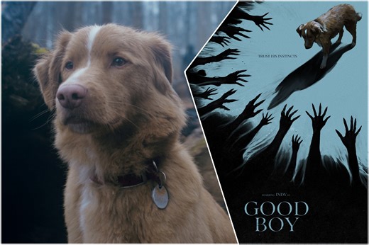Good Boy: IFC Expands The Theatrical Release Following Viral Success