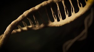 Alien life could break every rule we know