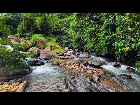 Relieve & Goodbye Stress with Roaring Water Sounds and Rushing River Flow - No Music Water Sounds