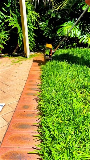 🍃 3 conseils pour les bordures impeccables : 1. Choisissez le bon fil de coupe pour votre débroussailleuse ou coupe-herbe 2. Ajustez l'angle de coupe 3. Maintenir une vitesse et une pression constantes 👉 https://www.pellenc.com/fr-fr/nos-produits/espaces-verts-proprete-urbaine/debroussailler/debroussailleuse-excelion-2 📷: @trustedgarden | Pellenc