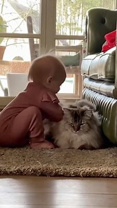 274K views · 7.8K reactions | Kusjes geven is nu de laatste weken het leukste wat we mogen ontvangen! En onze Wolf ook. Dat en nog andere uhm... liefkozingen? 殺 #catlover #friends #aaaaaaiiipoesje #lovegiver #babylover #ragdoll #littlesunshine @mar.y.luce @catloversclub | Natalia | Facebook