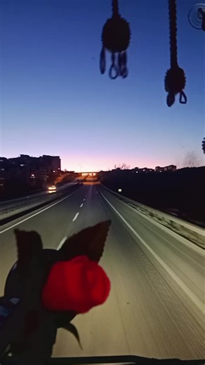 🔒37 Sndn bsksn Tövbekarm14 🔒 (@14sndn37bsksn14tovbkrm37) adlı kullanıcının Anatolian Echo Chamber - orijinal ses - Anatolian Echo Chamber ile oluşturduğu videoları