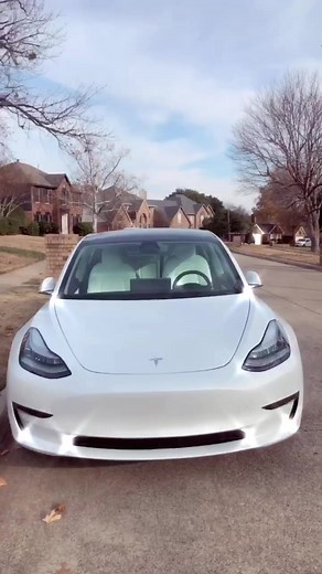 Meet Gigi: Ordering a Car on Tesla.com Without My Parents Knowing